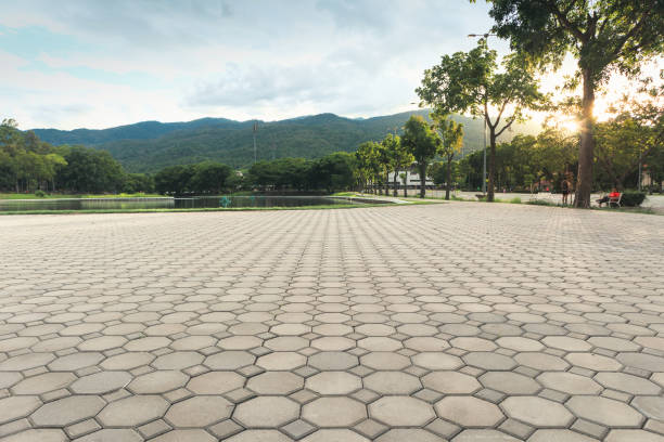 Best Custom Driveway Pavers  in Driggs, ID